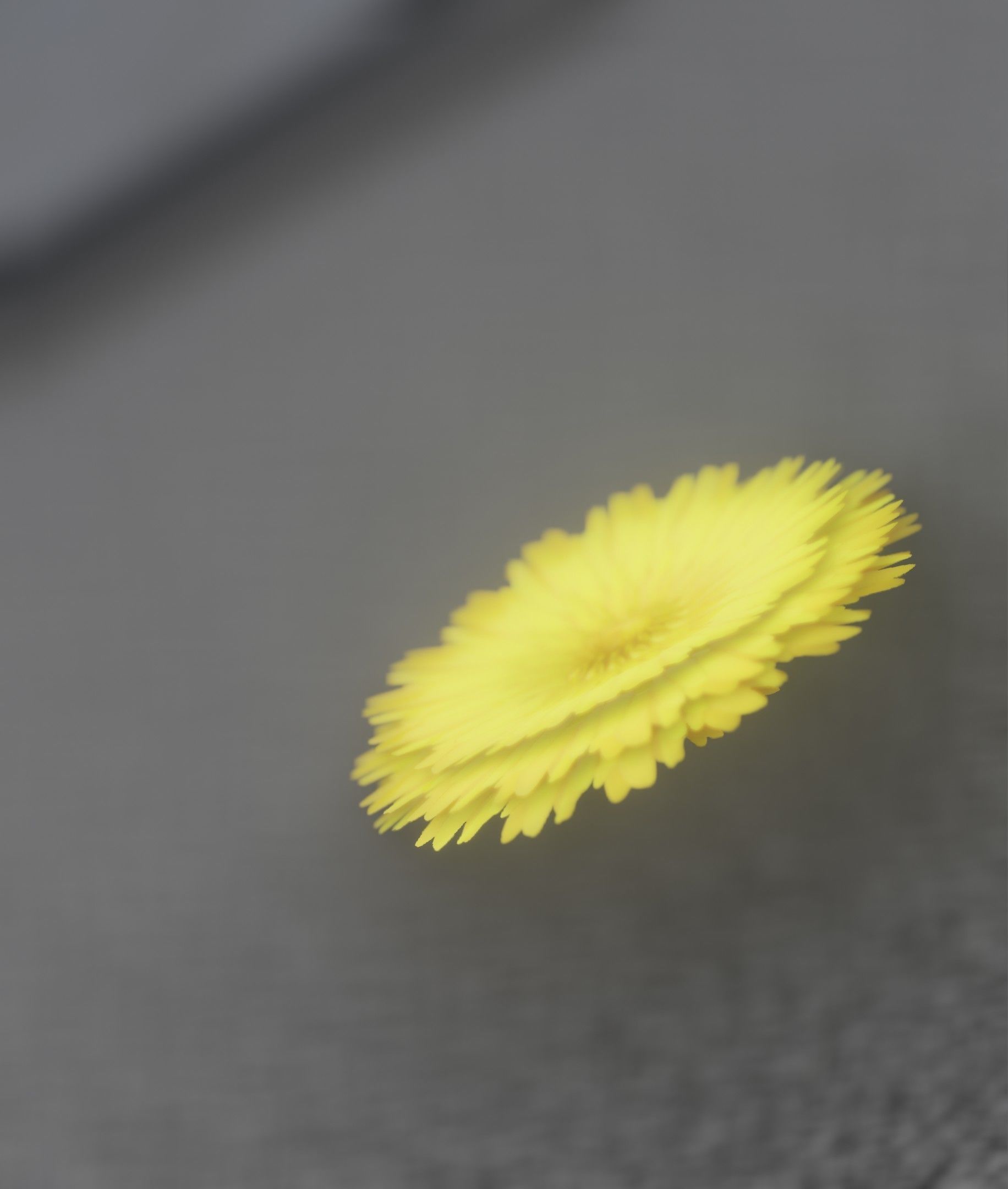Dandelion Flower Blossom Version 7 - Object 38 Low-poly 3D model_32