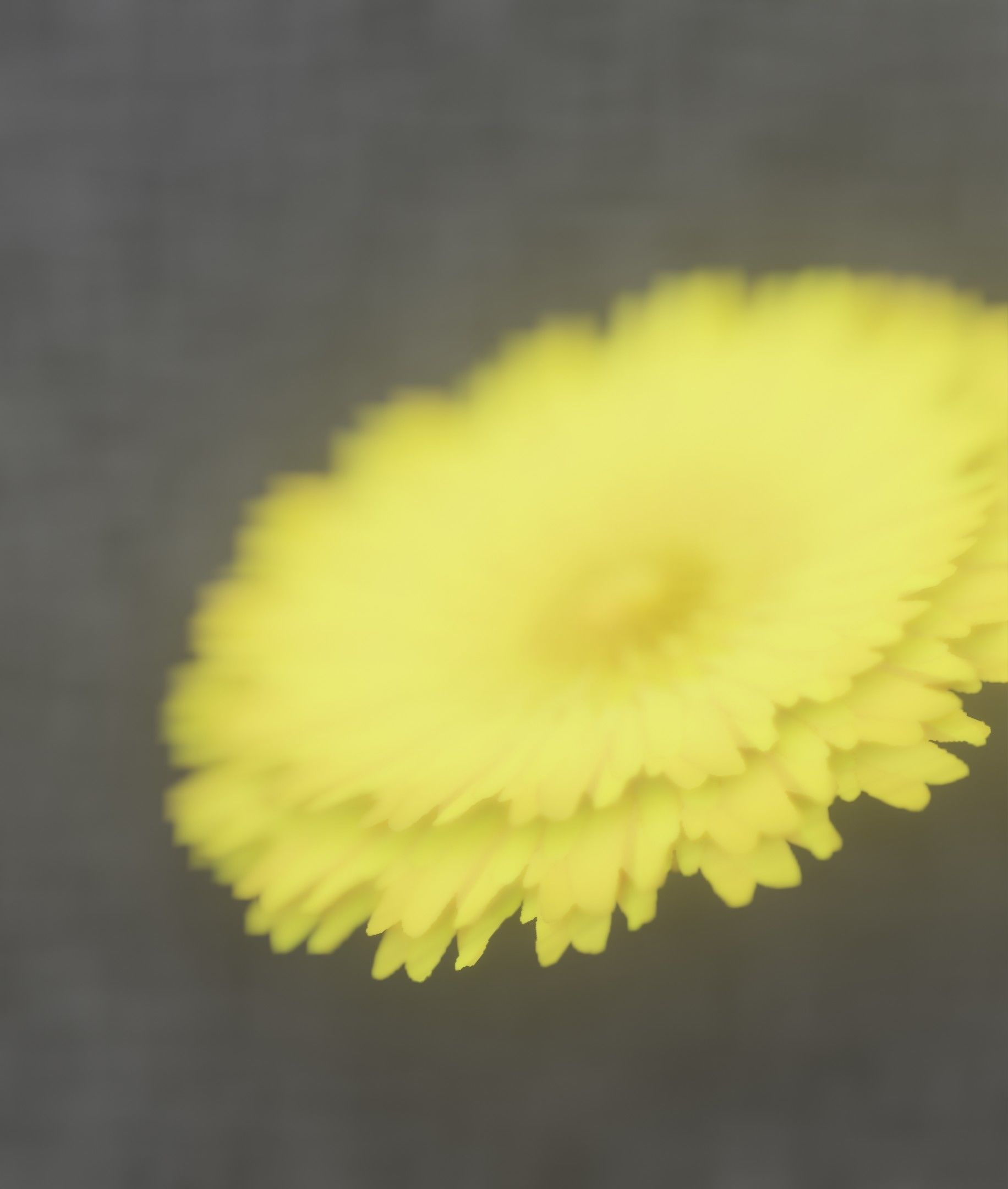 Dandelion Flower Blossom Version 7 - Object 38 Low-poly 3D model_29