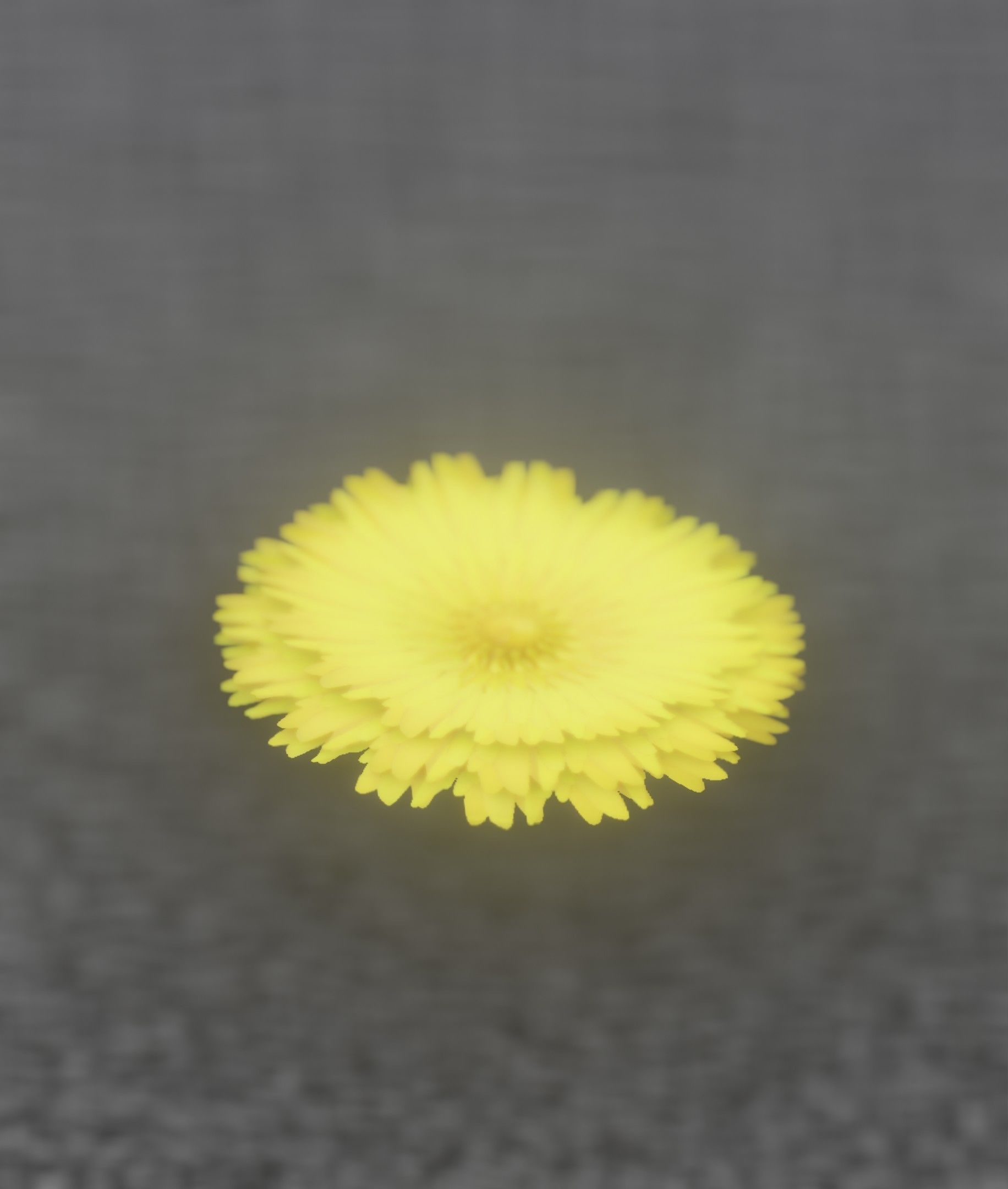 Dandelion Flower Blossom Version 7 - Object 38 Low-poly 3D model_6