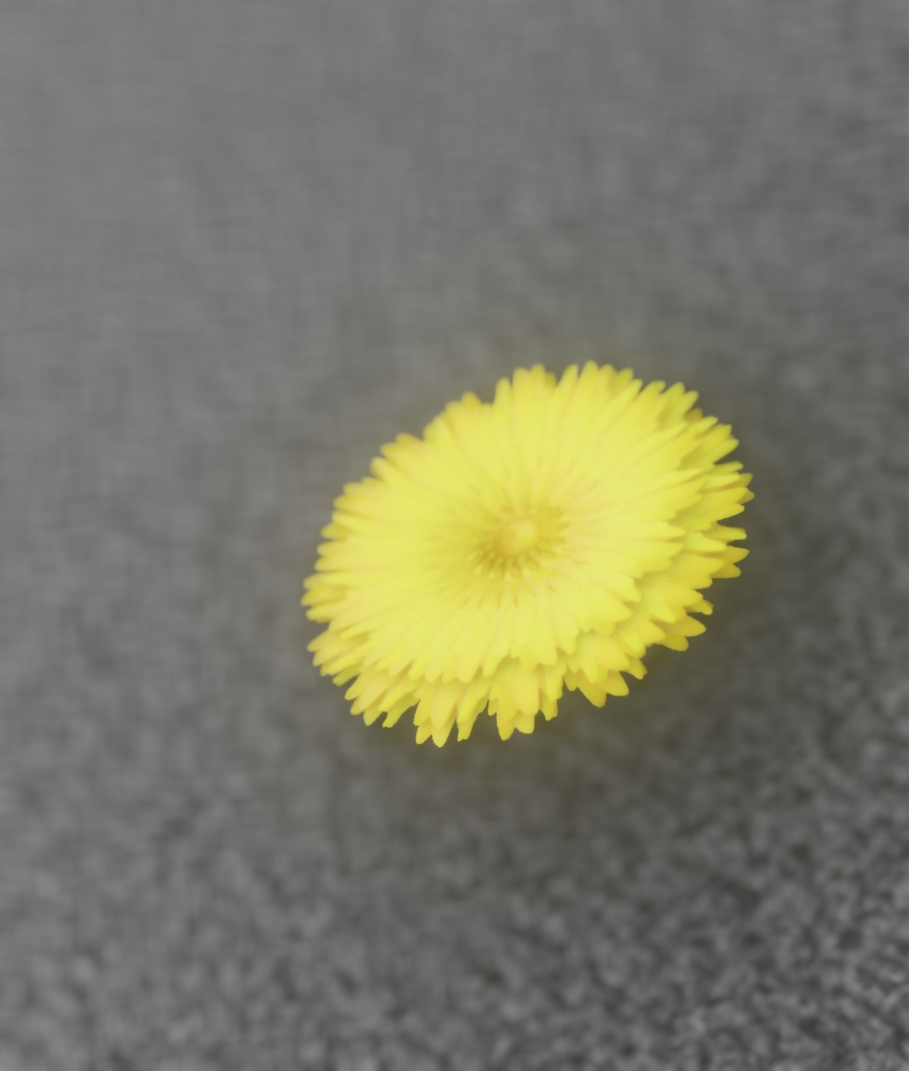 Dandelion Flower Blossom Version 7 - Object 38 Low-poly 3D model_34