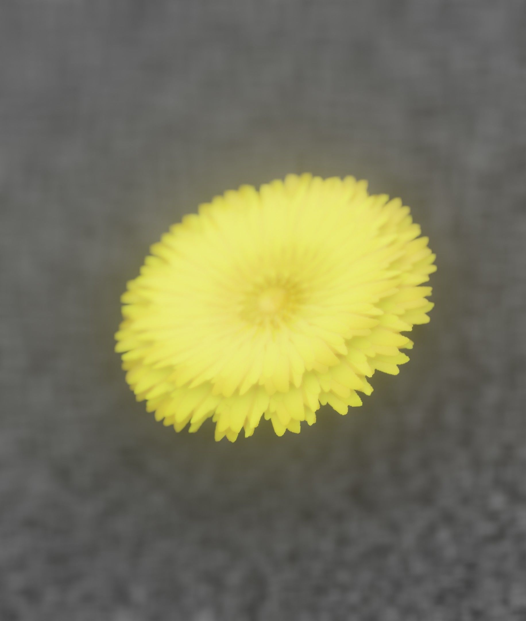 Dandelion Flower Blossom Version 7 - Object 38 Low-poly 3D model_25