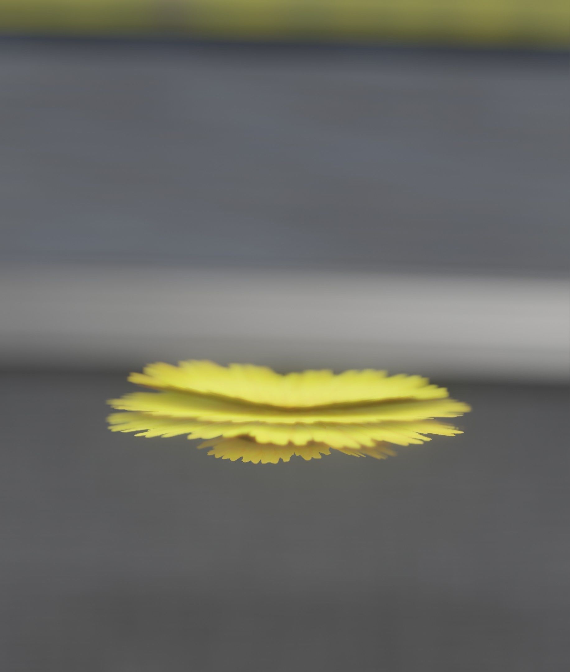 Dandelion Flower Blossom Version 7 - Object 38 Low-poly 3D model_50