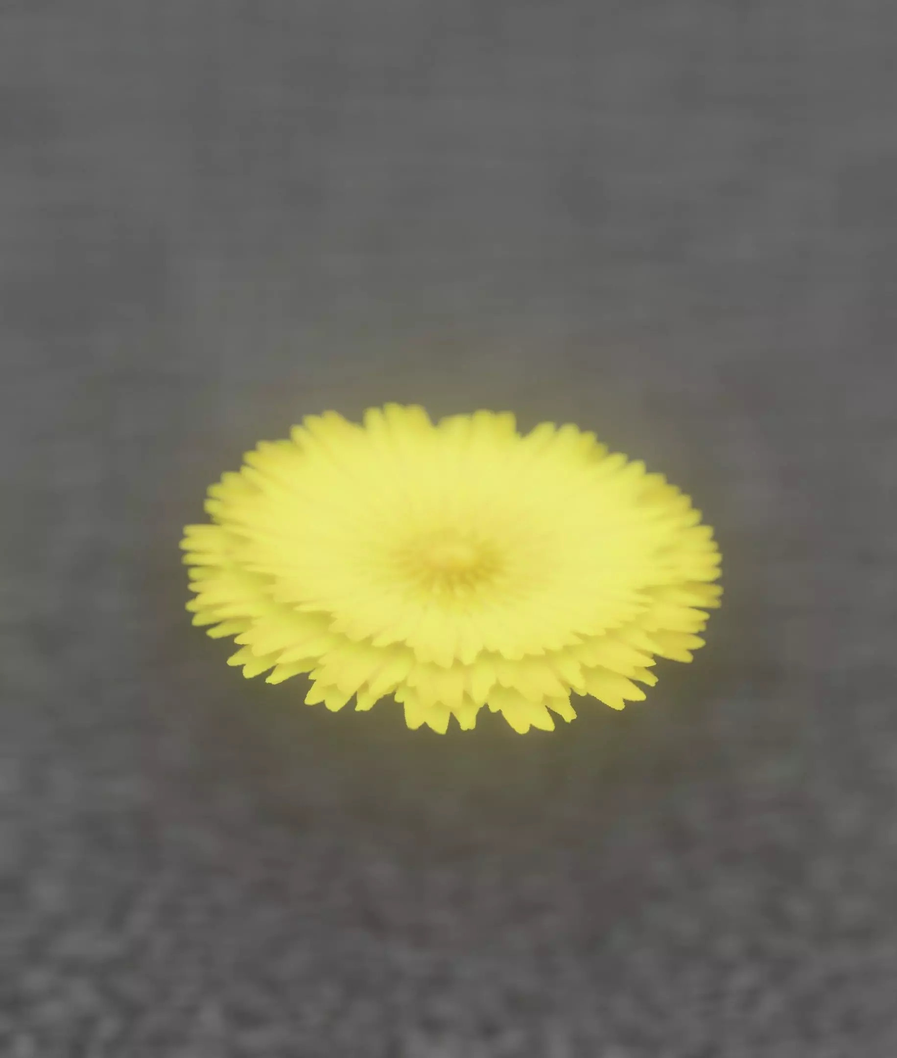 Dandelion Flower Blossom Version 7 - Object 38 Low-poly 3D model_0