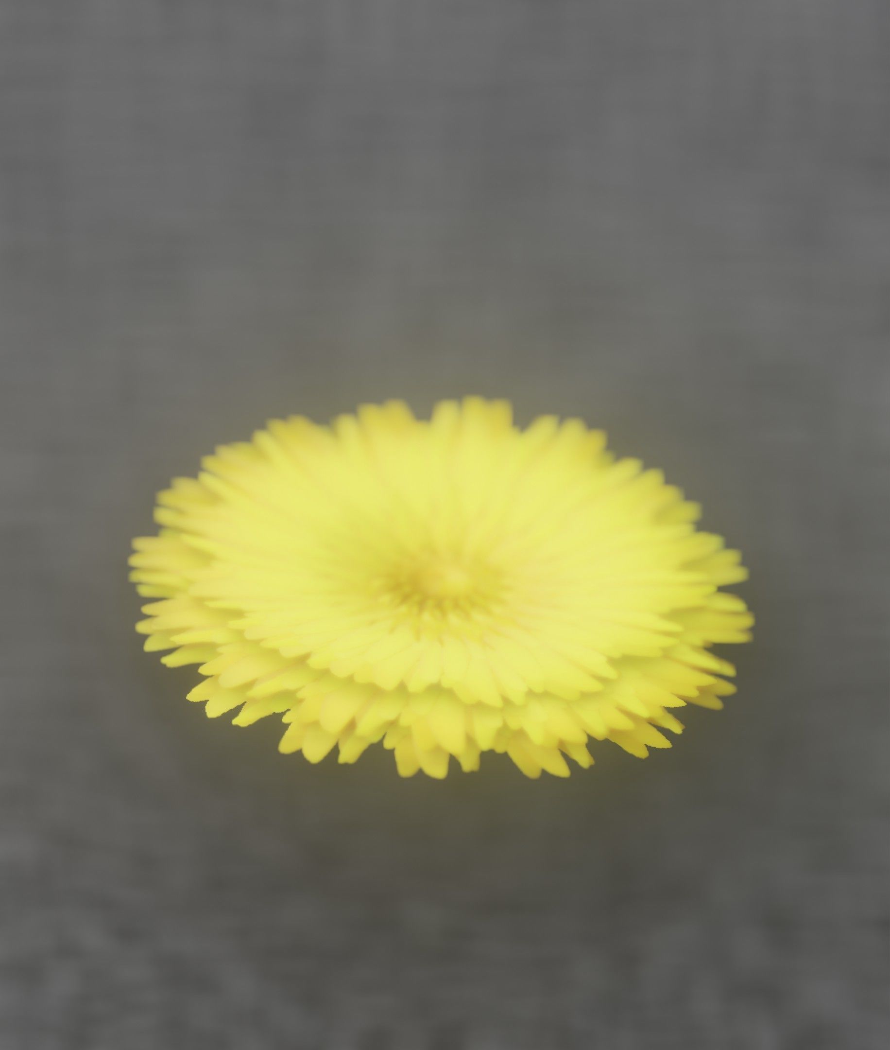 Dandelion Flower Blossom Version 7 - Object 38 Low-poly 3D model_8