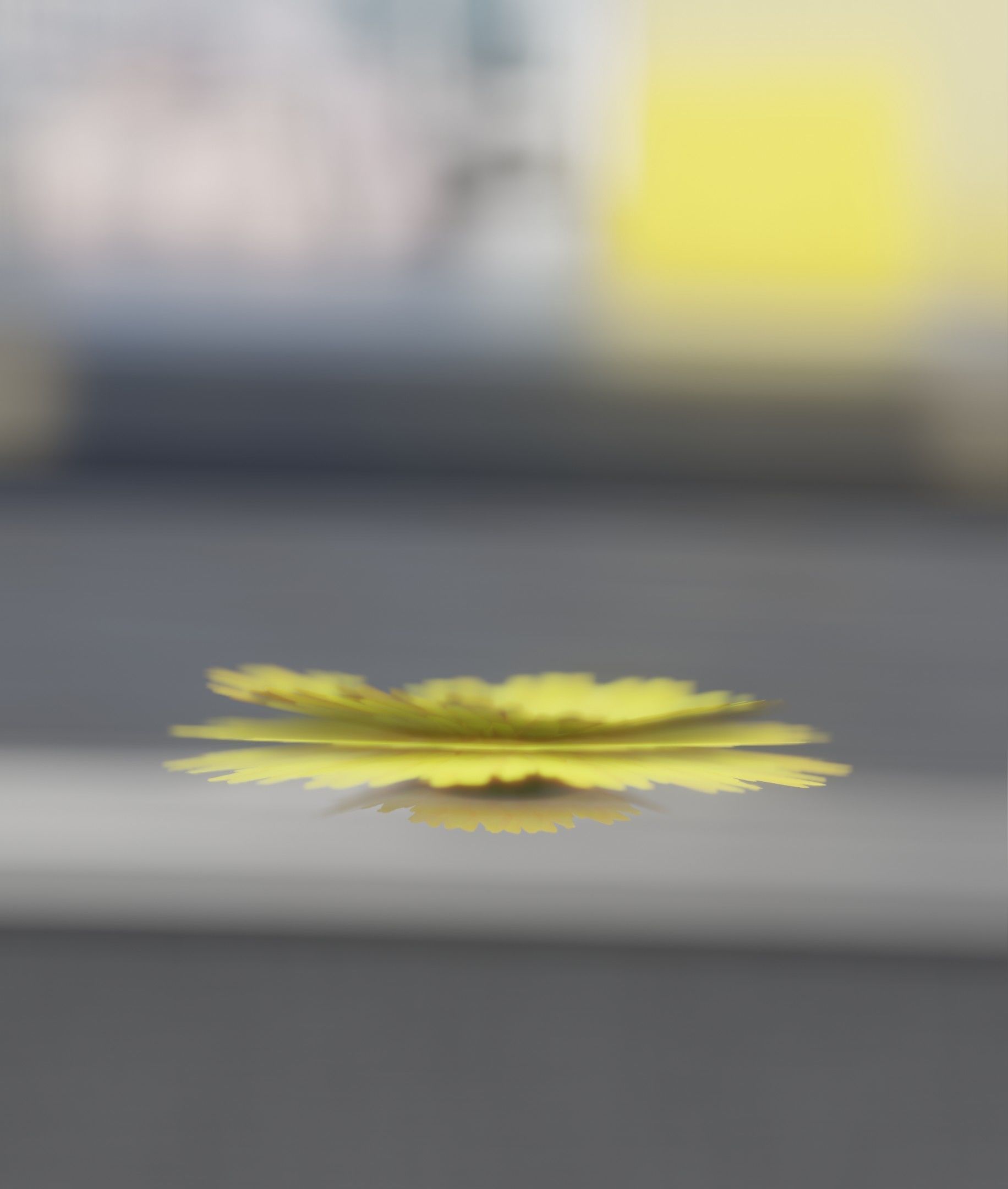 Dandelion Flower Blossom Version 7 - Object 38 Low-poly 3D model_49