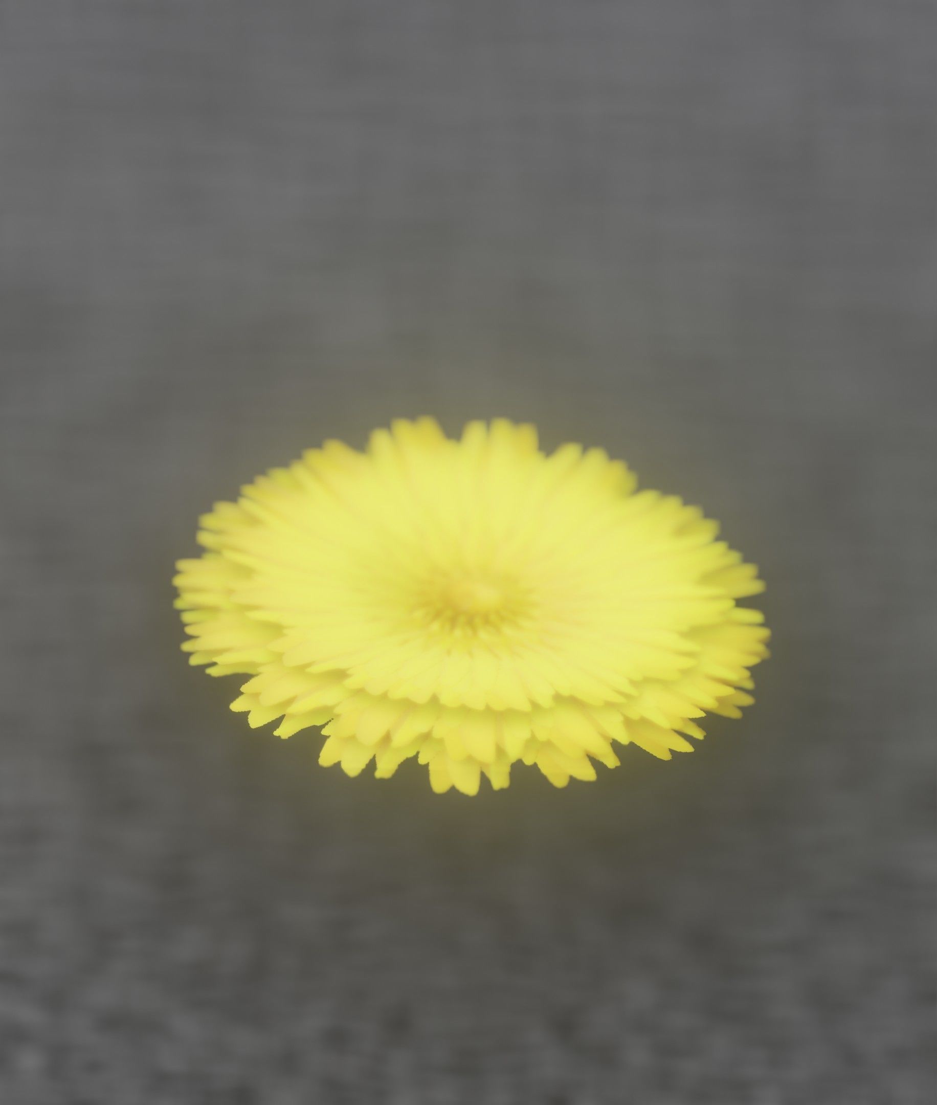Dandelion Flower Blossom Version 7 - Object 38 Low-poly 3D model_7