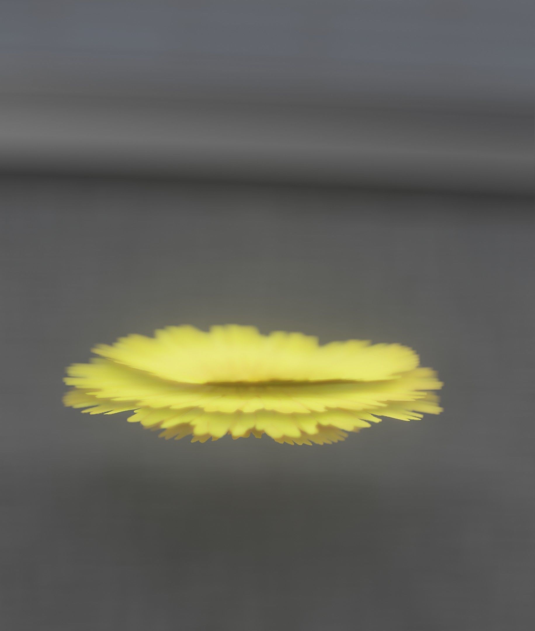 Dandelion Flower Blossom Version 7 - Object 38 Low-poly 3D model_4