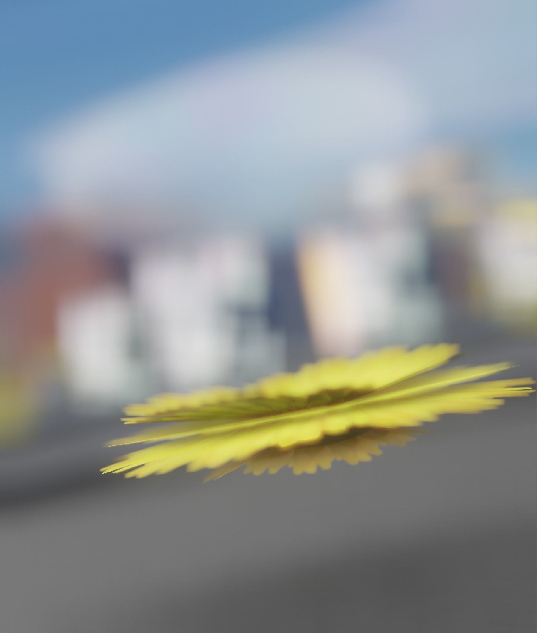Dandelion Flower Blossom Version 7 - Object 38 Low-poly 3D model_18