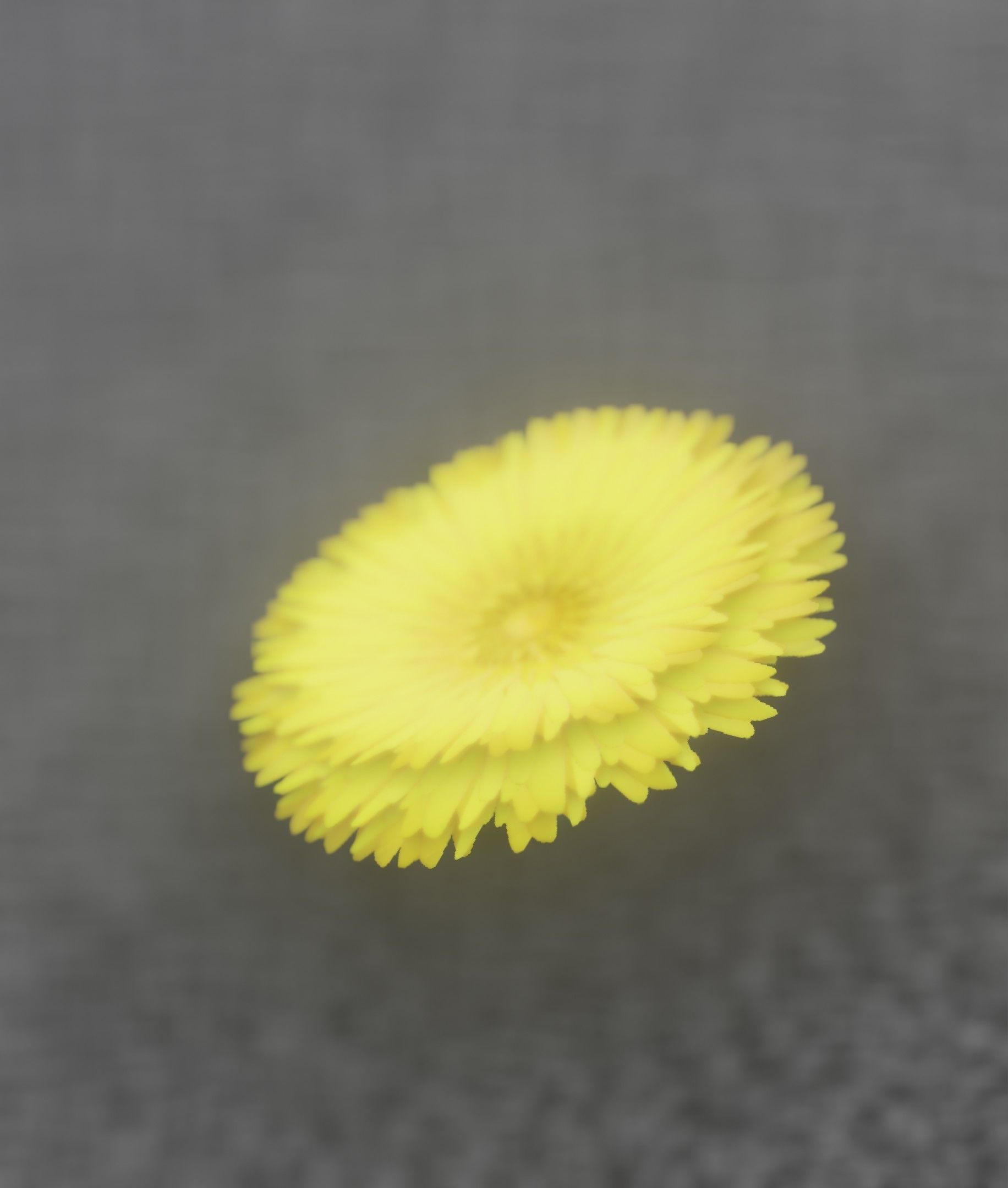 Dandelion Flower Blossom Version 7 - Object 38 Low-poly 3D model_24