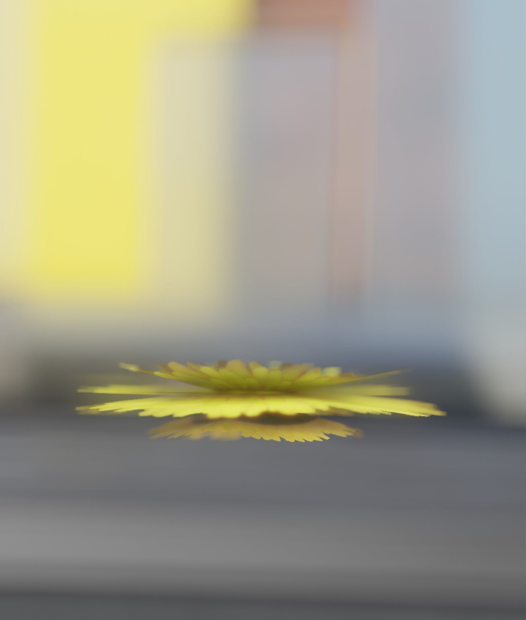 Dandelion Flower Blossom Version 7 - Object 38 Low-poly 3D model_48