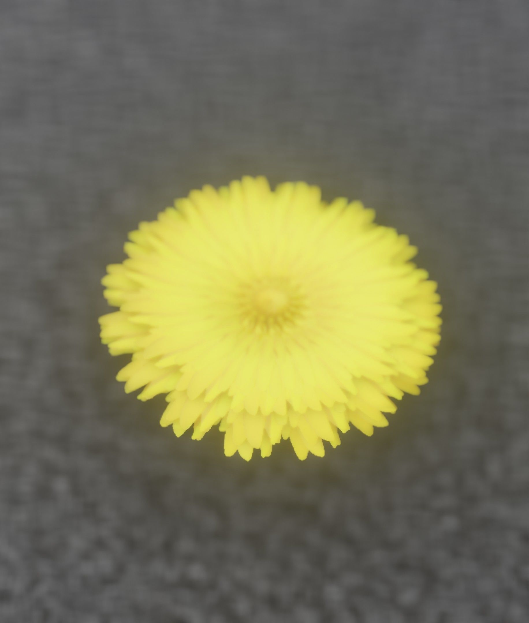 Dandelion Flower Blossom Version 7 - Object 38 Low-poly 3D model_17