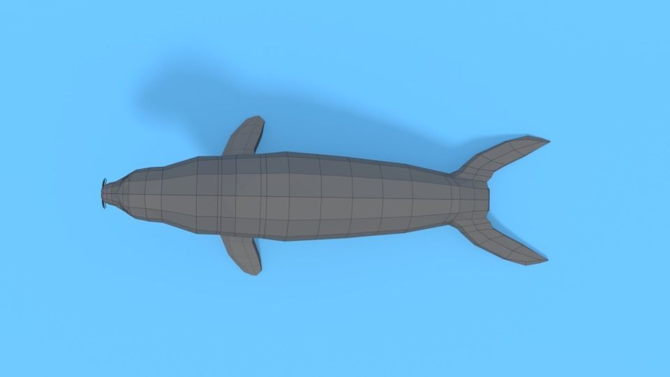 Low Poly Cartoon Seal Low-poly 3D model_15