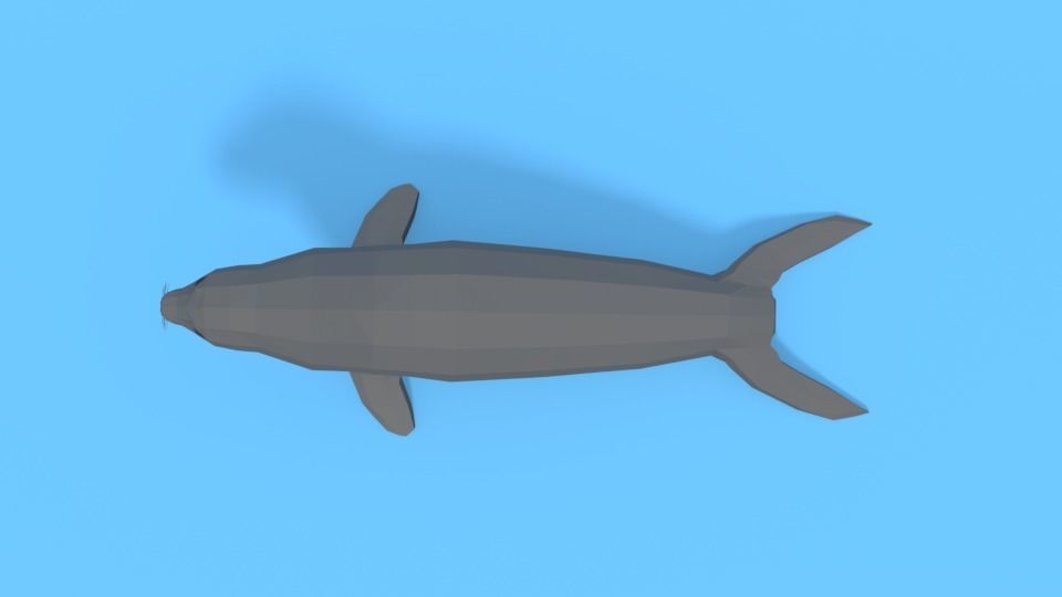 Low Poly Cartoon Seal Low-poly 3D model_7