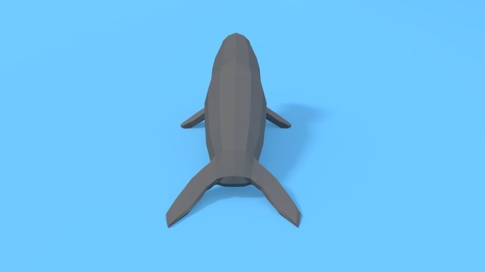 Low Poly Cartoon Seal Low-poly 3D model_4