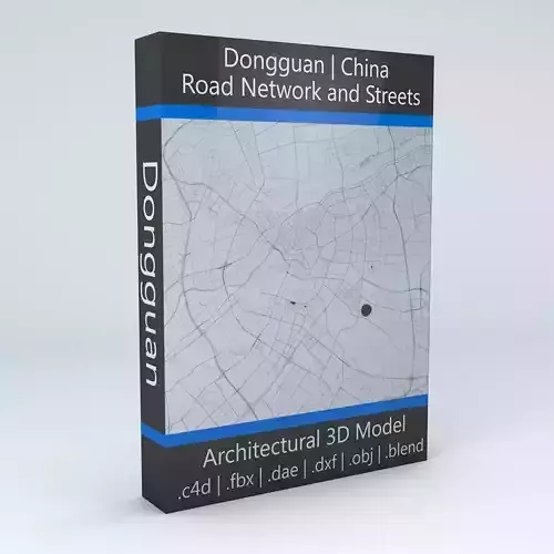 Dongguan Road Network and Streets 3D model
