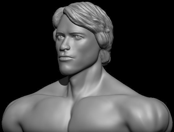 Arnold bust Free 3D print model_8