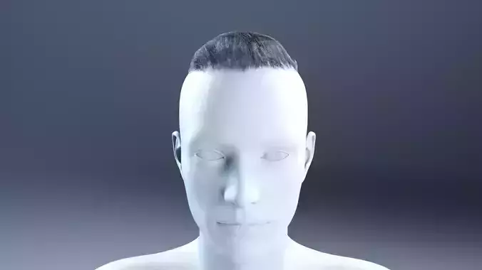 Simple short haircut military hairdcards Low Poly 