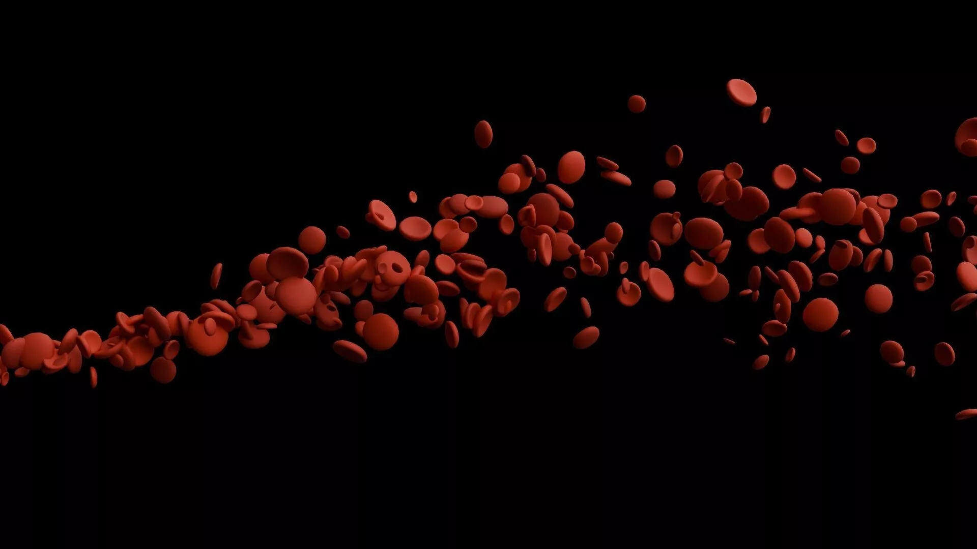 MD Blood Cells Flow 3D model