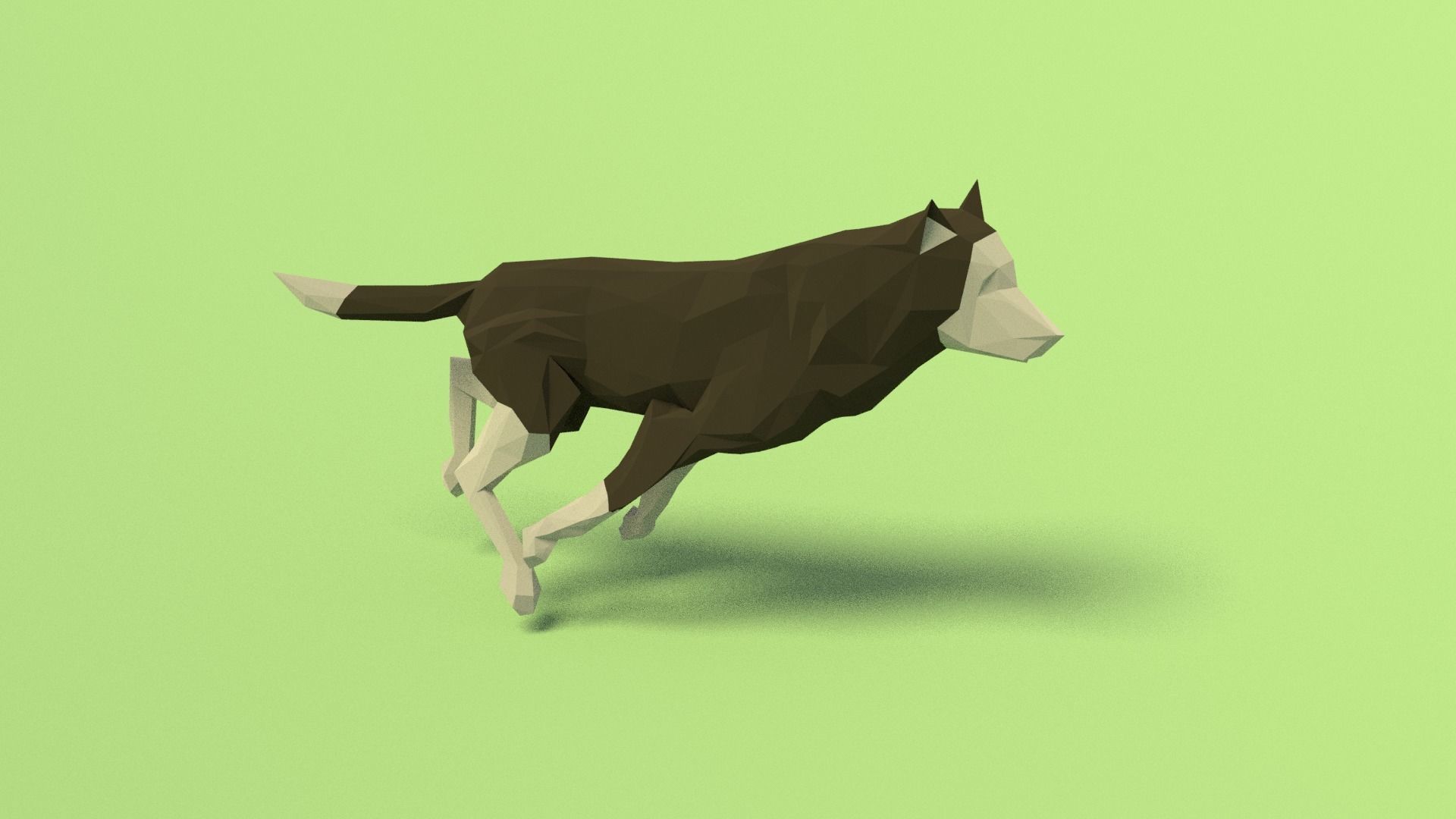 Rigged Low Poly Dog Low-poly 3D model_2