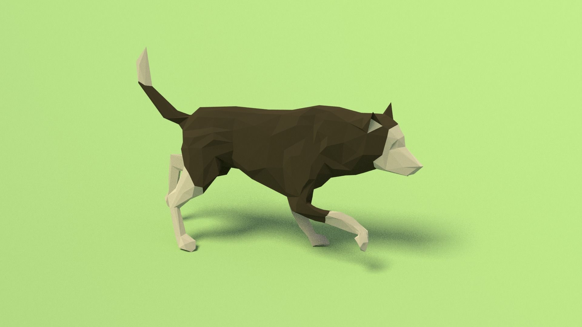Rigged Low Poly Dog Low-poly 3D model_12