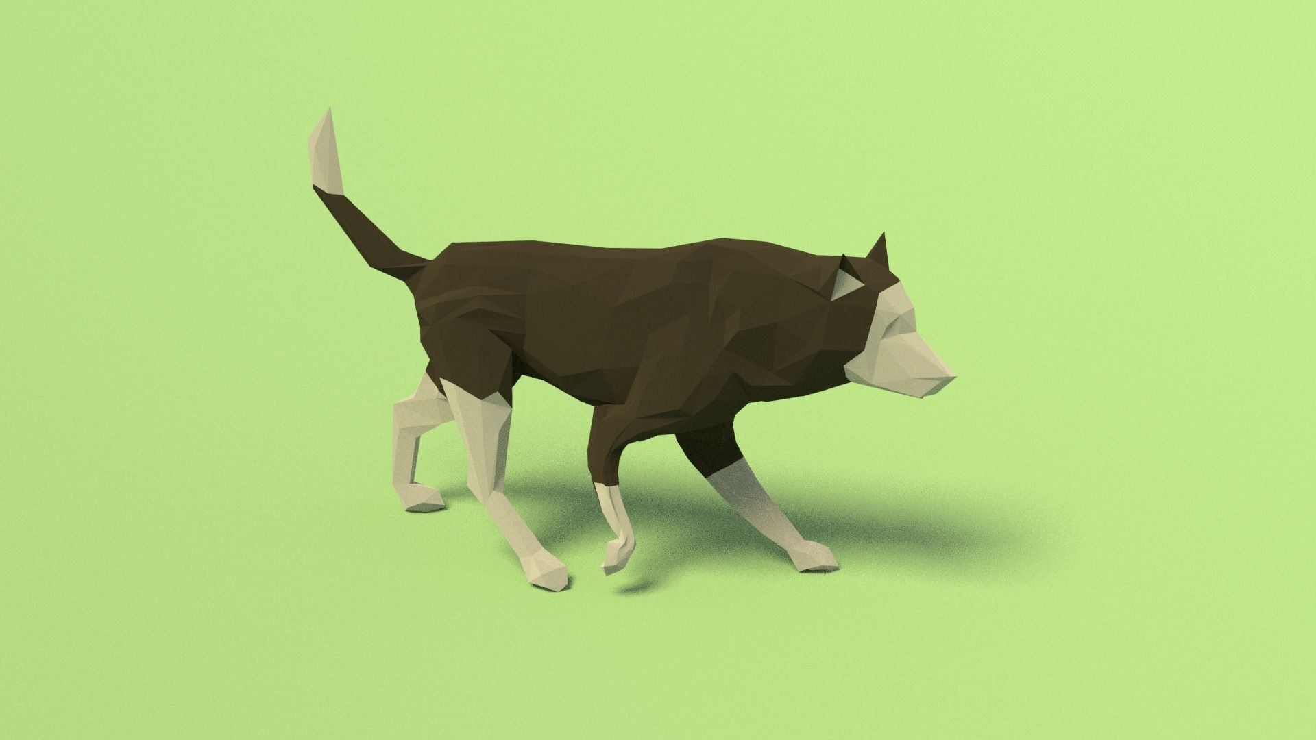Rigged Low Poly Dog Low-poly 3D model_11