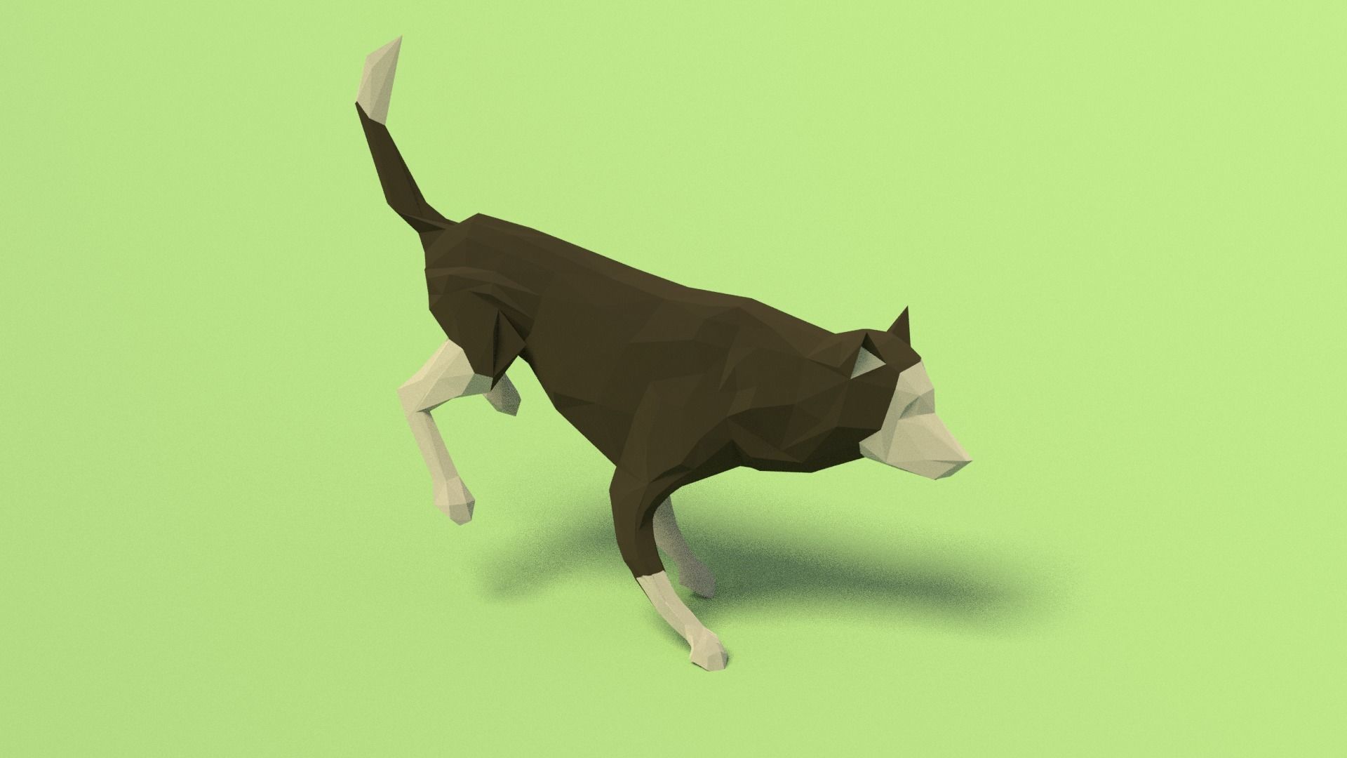 Rigged Low Poly Dog Low-poly 3D model_7