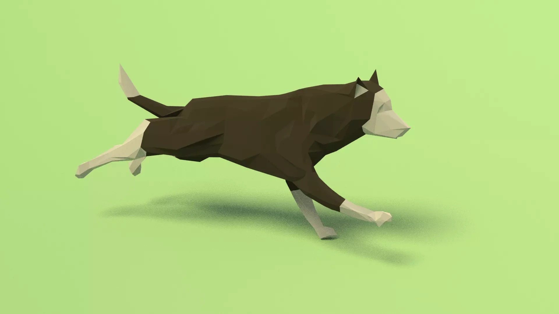 Rigged Low Poly Dog Low-poly 3D model_0