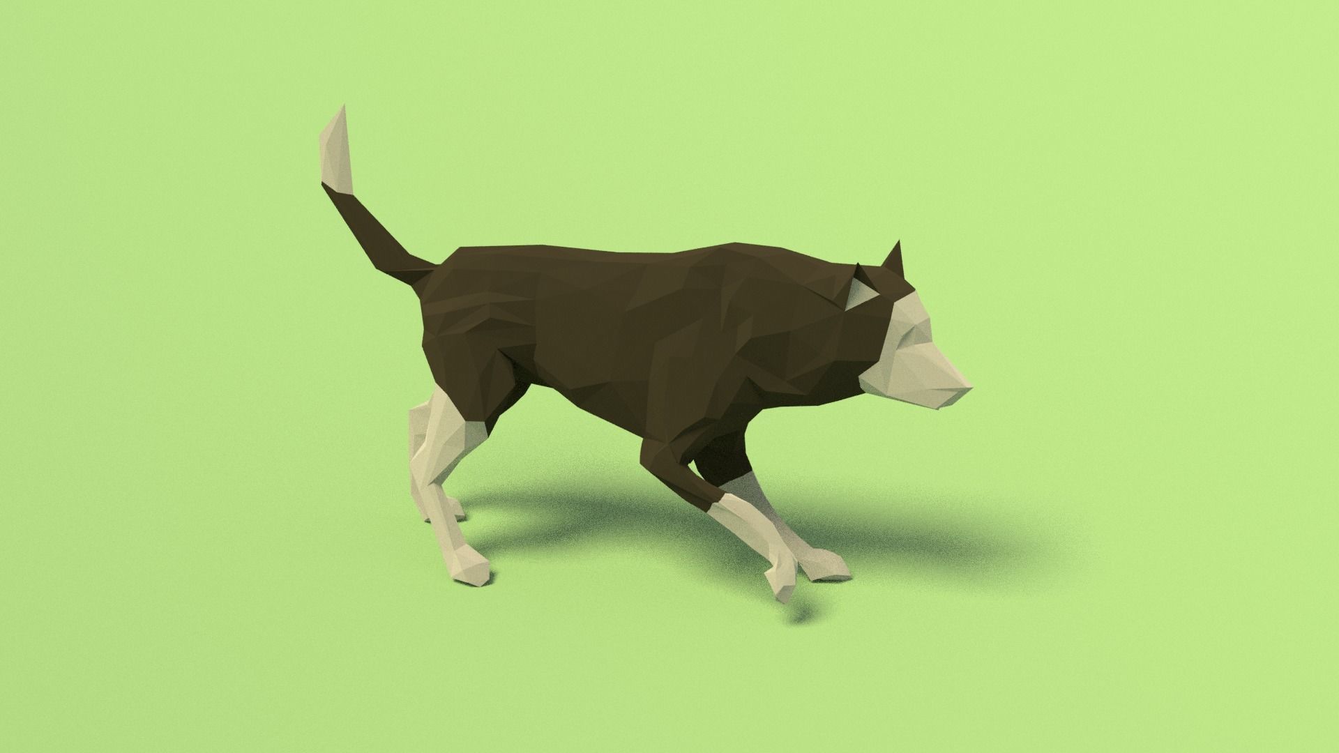 Rigged Low Poly Dog Low-poly 3D model_8