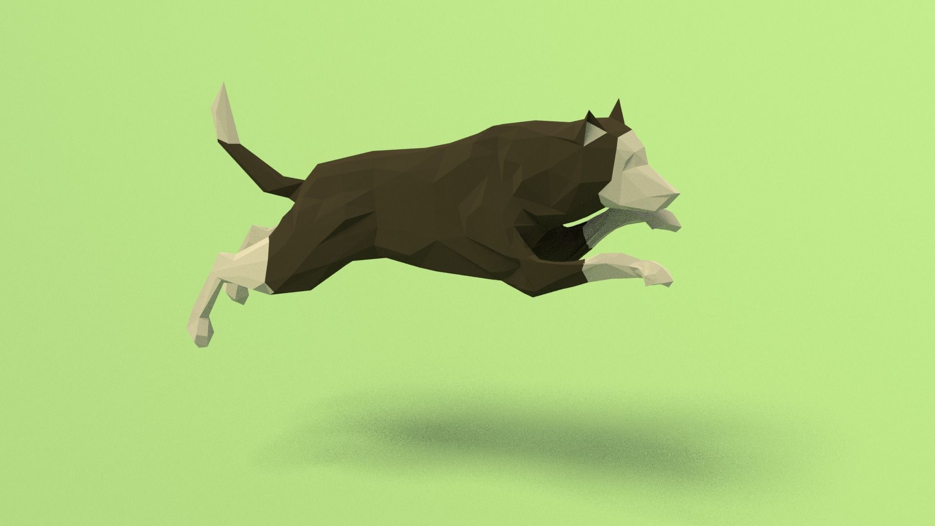 Rigged Low Poly Dog Low-poly 3D model_6