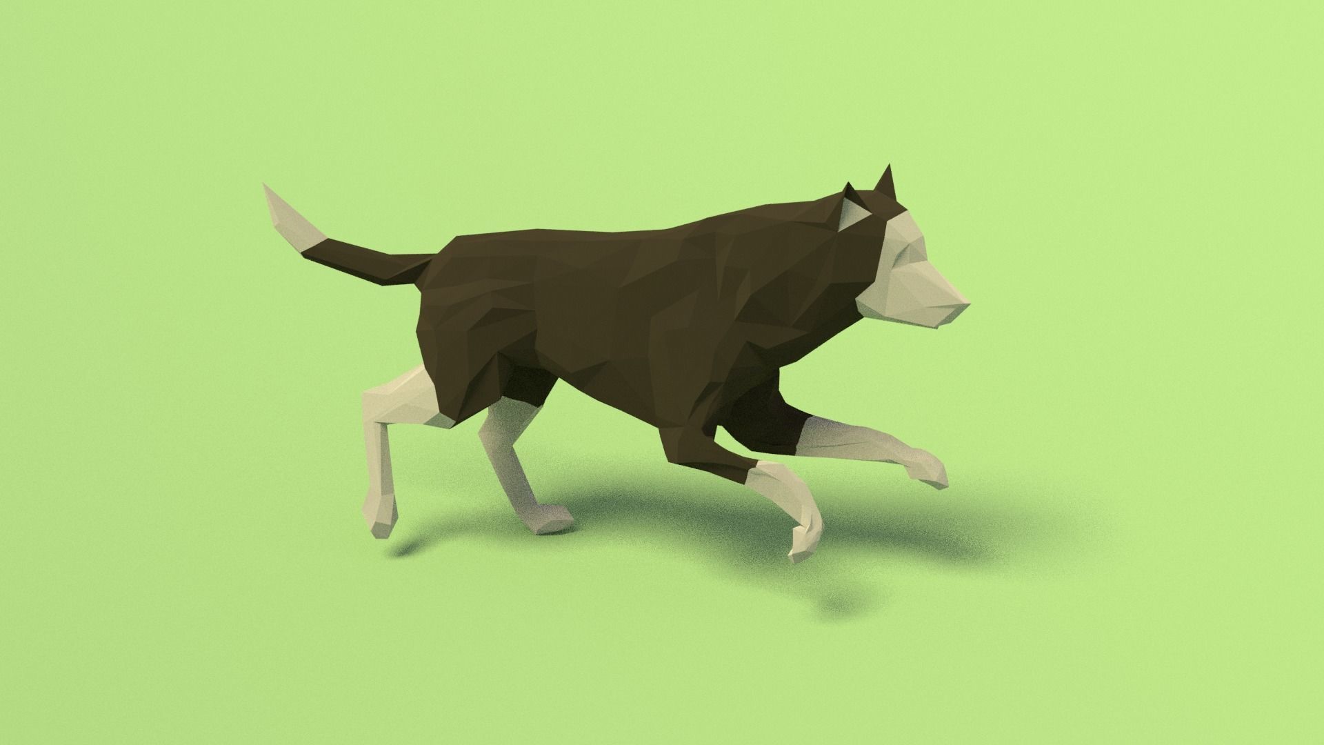Rigged Low Poly Dog Low-poly 3D model_4