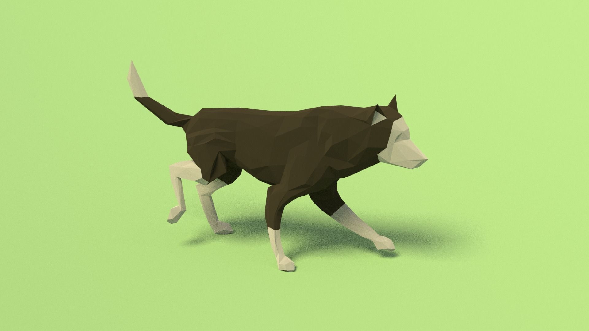 Rigged Low Poly Dog Low-poly 3D model_10