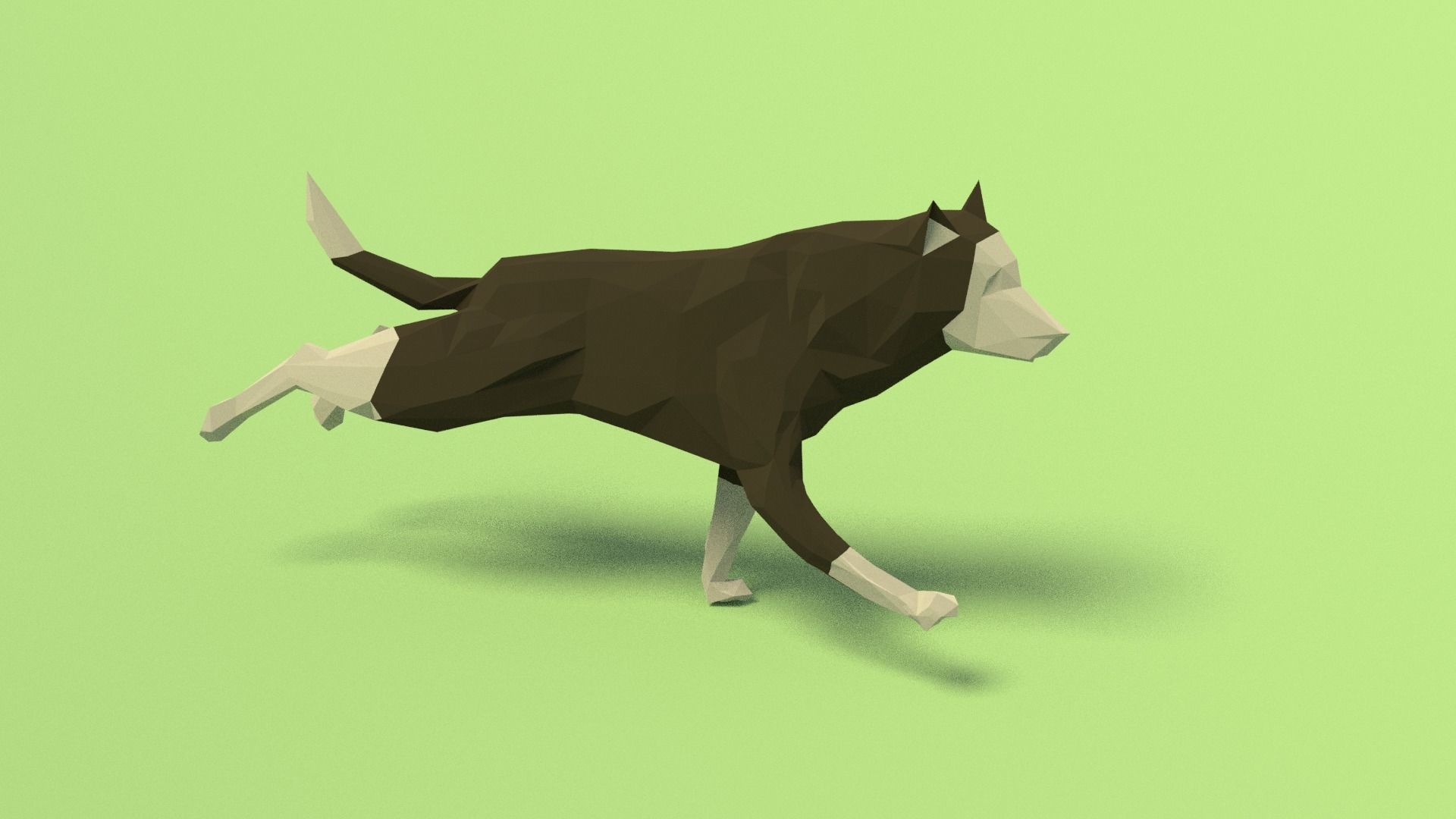 Rigged Low Poly Dog Low-poly 3D model_3
