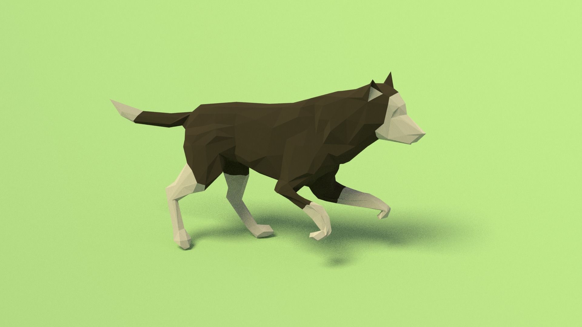 Rigged Low Poly Dog Low-poly 3D model_1