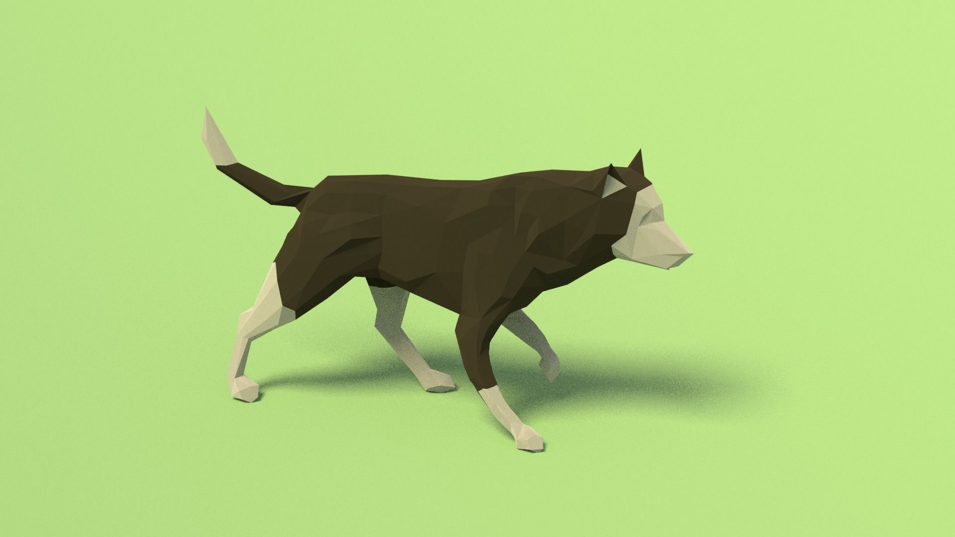 Rigged Low Poly Dog Low-poly 3D model_9