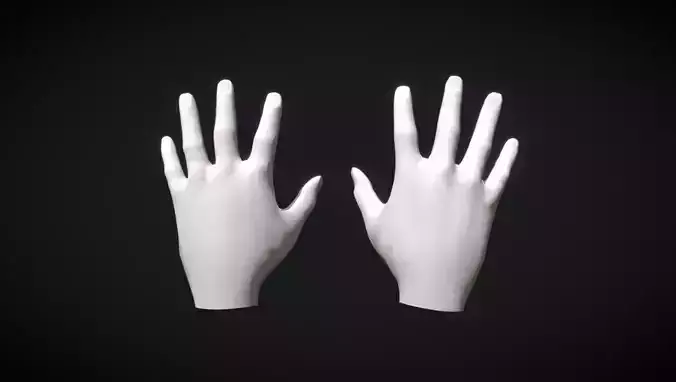 Lowpoly hands mannequin