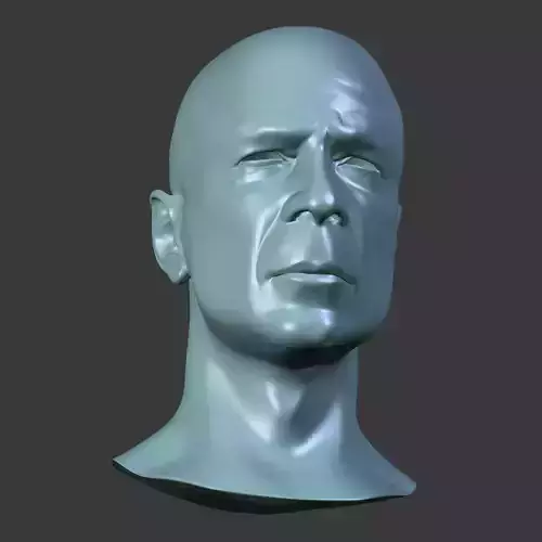 Bruce Willis face topology