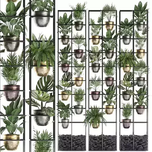 Plants collection Vertical gardening 27