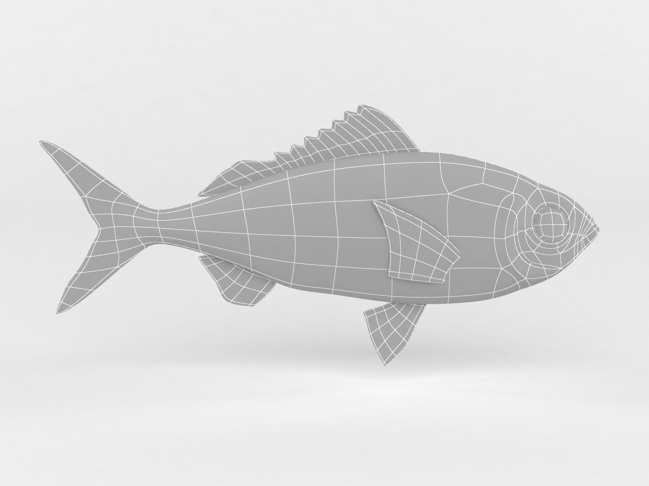 Ruby Fish 3D model_7