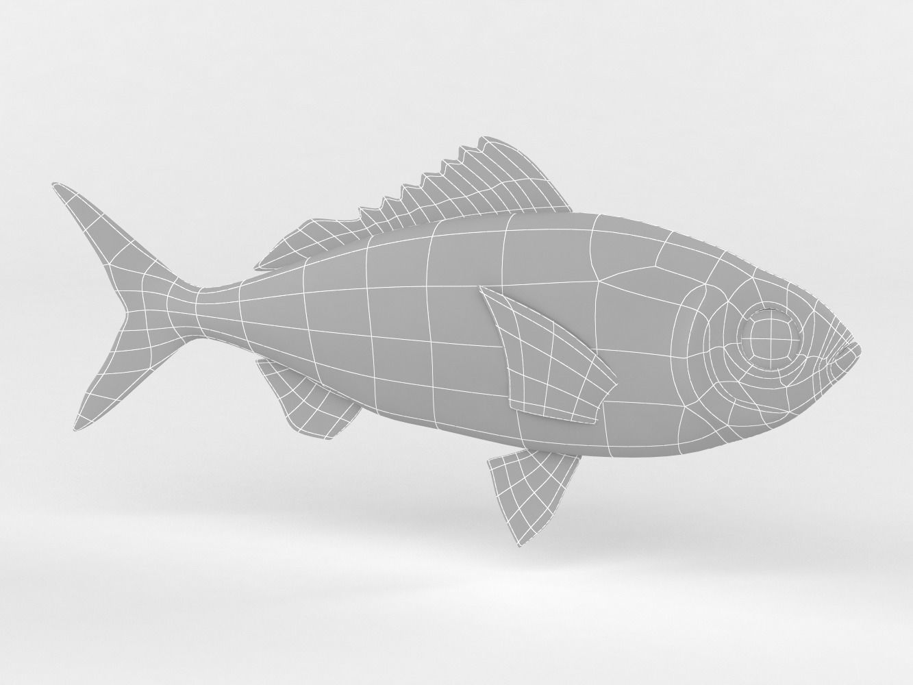 Ruby Fish 3D model_8
