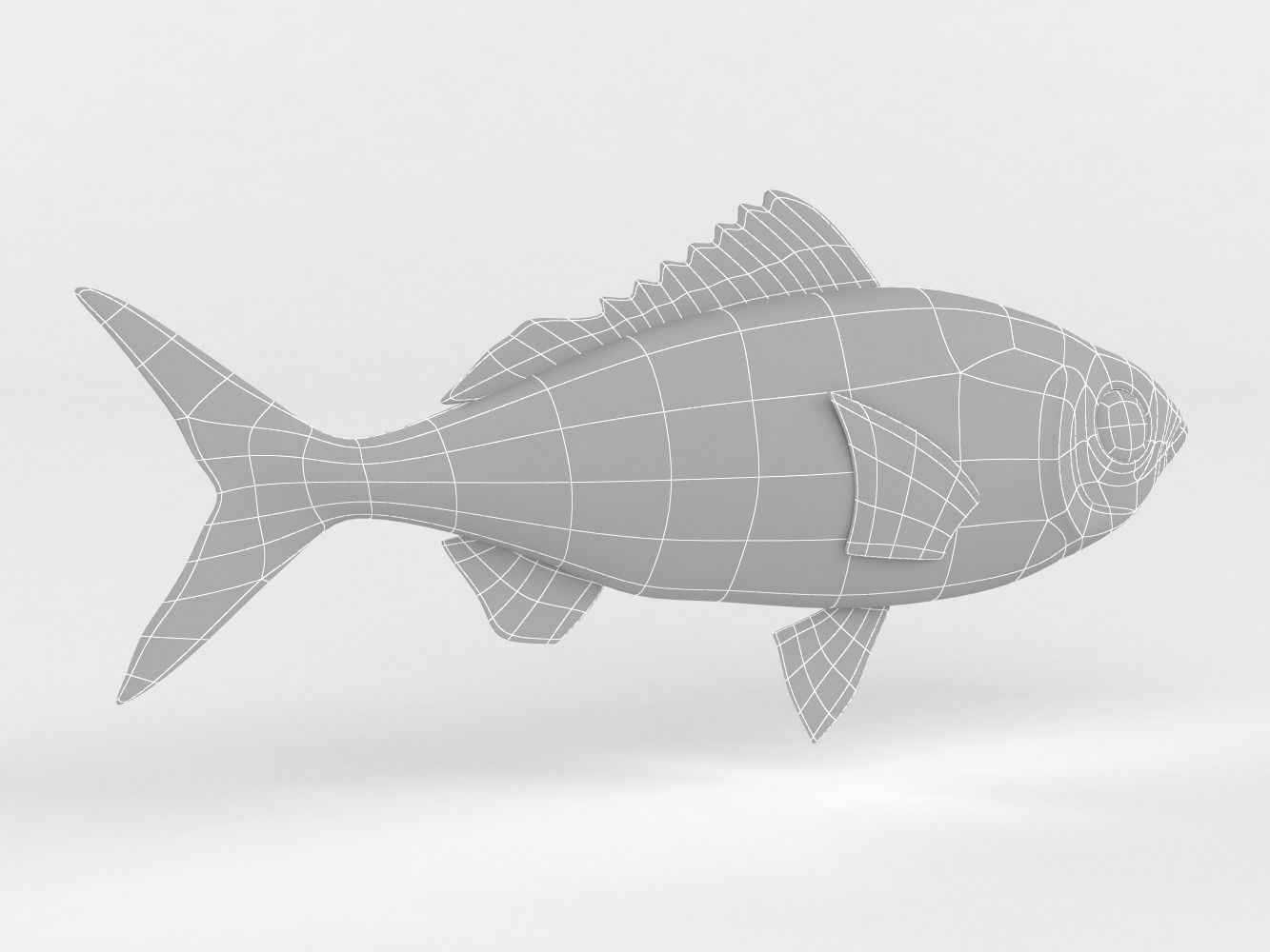 Ruby Fish 3D model_9
