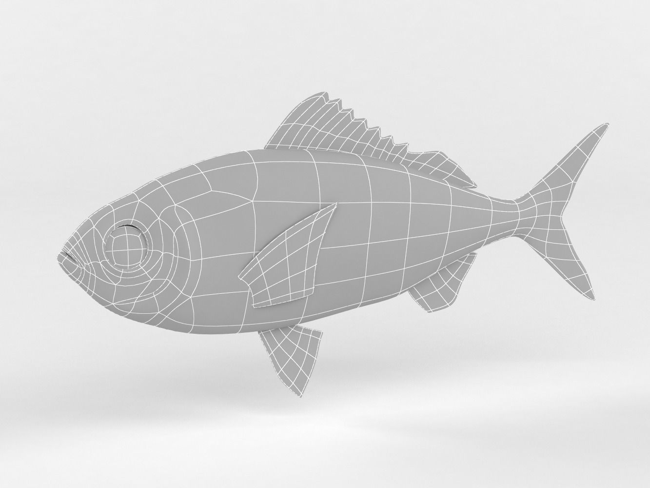 Ruby Fish 3D model_10