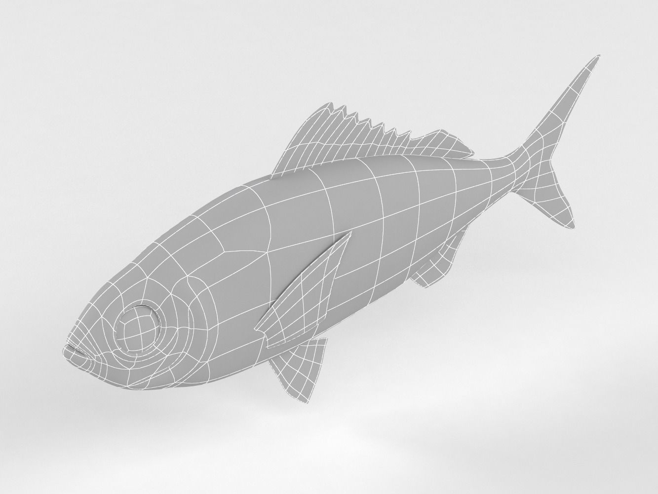 Ruby Fish 3D model_11