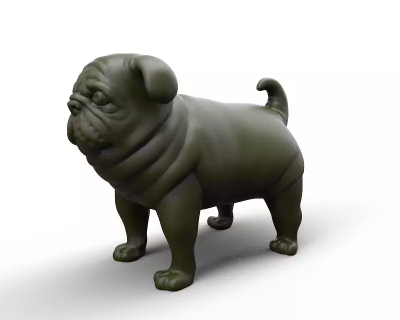 fat stocky doggie dog Pug 3D print model_0