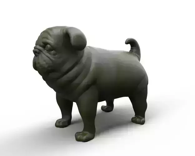 fat stocky doggie dog Pug 3D print model