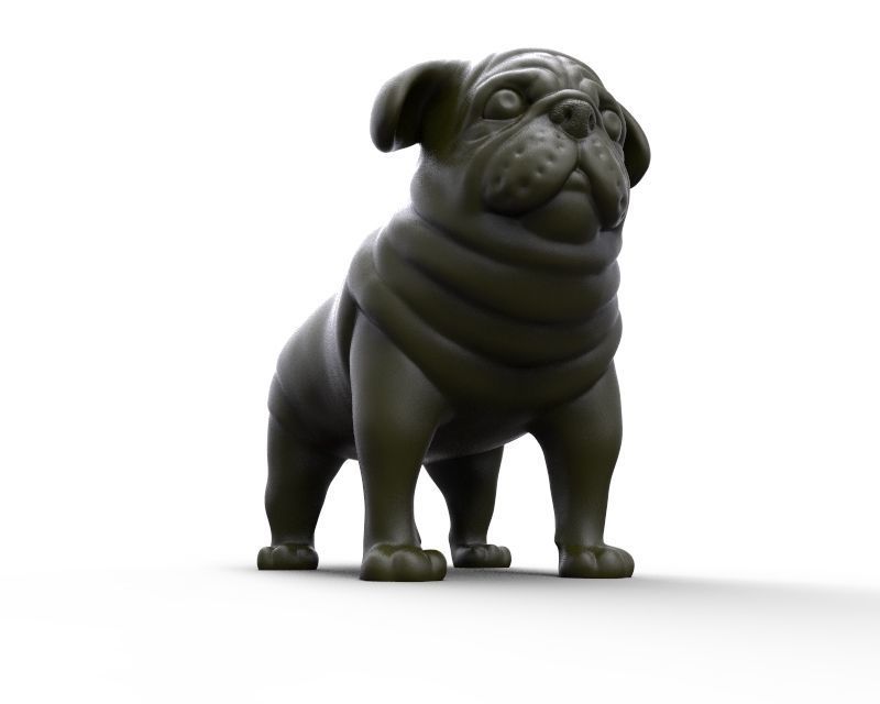 fat stocky doggie dog Pug 3D print model_8