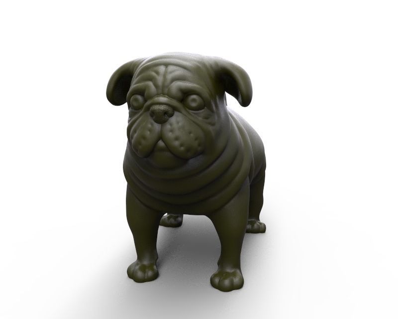 fat stocky doggie dog Pug 3D print model_1