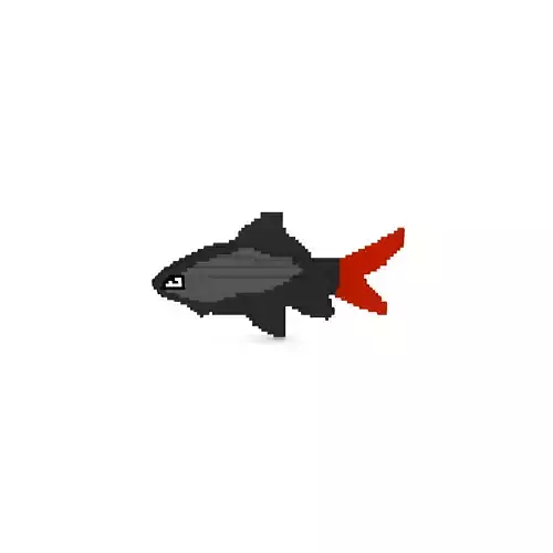 Voxel Fish-5 Low-poly 3D Model