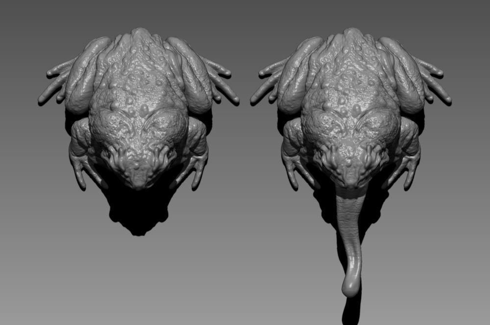 Giant Toad - 3D printable creature 3D print model 3D print model_2
