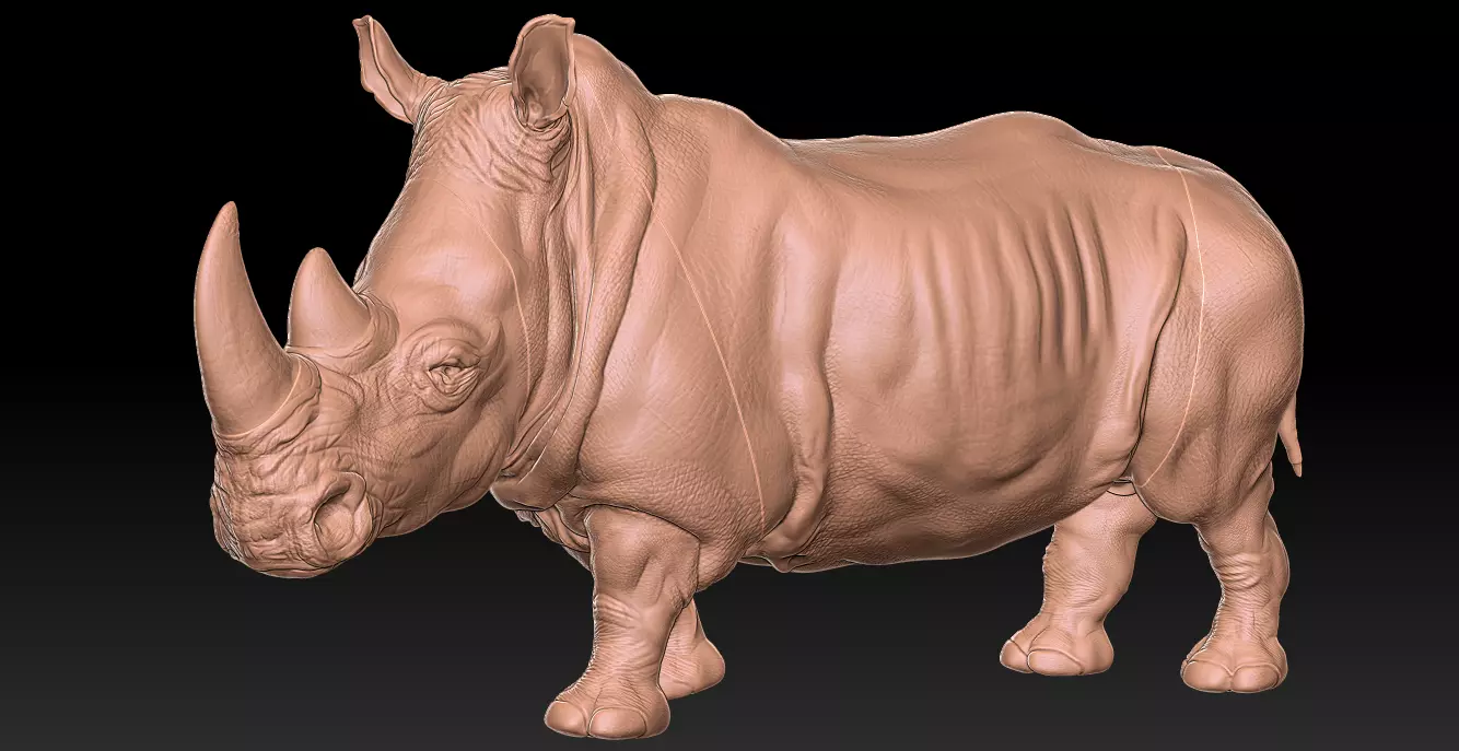 Rhinoceros plastic toy on wooden table 3D print model_0