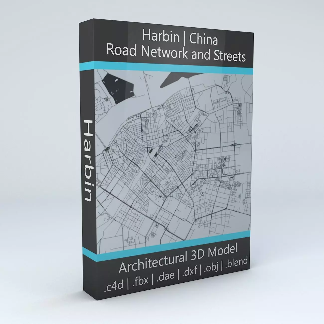 Harbin Road Network and Streets 3D model_0